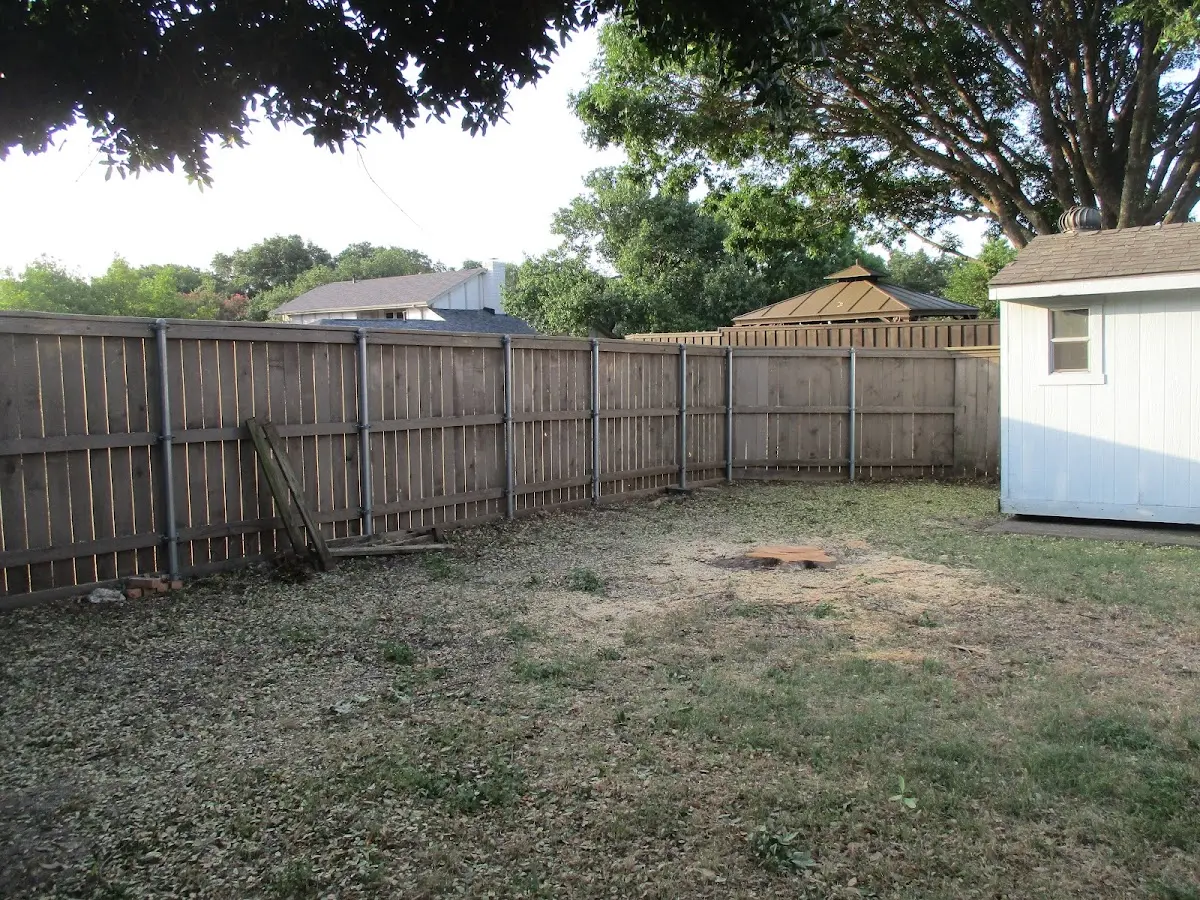 Cleared yard after professional tree removal in West Burlington